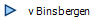 v Binsbergen