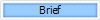 Brief